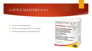 CATTLE MASTER® 4+L5
 5 ml por vía intramuscular
 2 dosis con un intervalo de 2 a 4 semanas
 Revacunación anual con una dosis única
 
