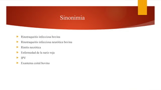 Sinonimia
 Rinotraqueitis infecciosa bovina
 Rinotraqueitis infecciosa neurótica bovina
 Rinitis necrótica
 Enfermedad de la nariz roja
 IPV
 Exantema coital bovino
 