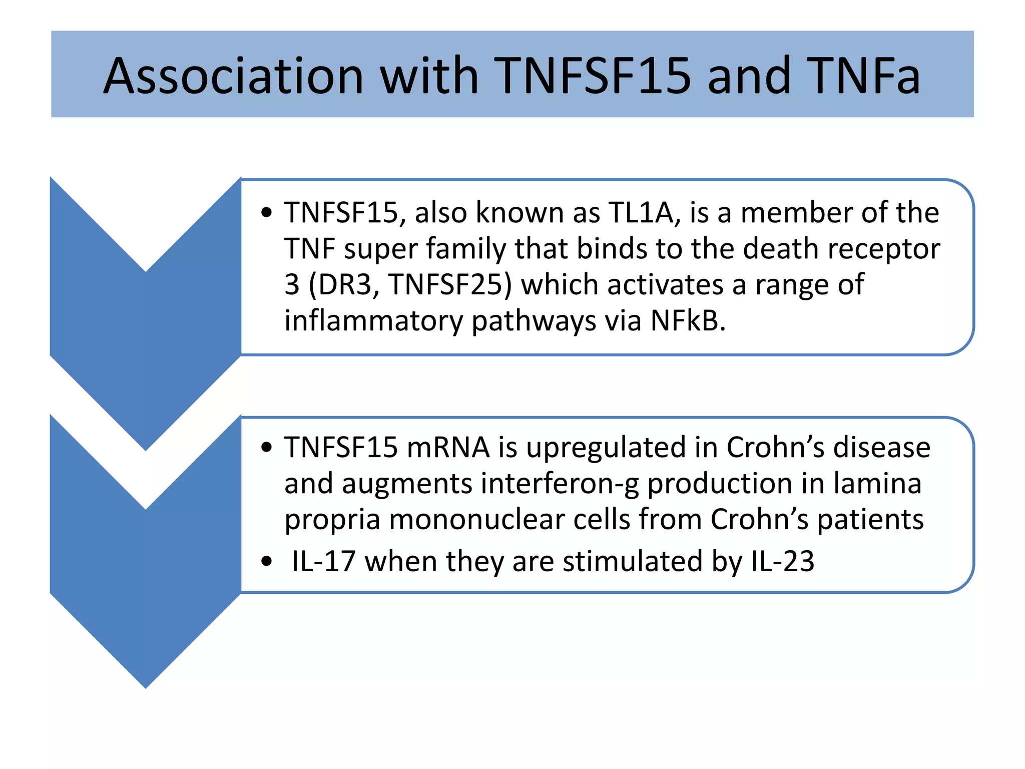 Association with TNFSF15 and TNFa
• TNFSF15, also known as TL1A, is a member of the
TNF super family that binds to the death receptor
3 (DR3, TNFSF25) which activates a range of
inflammatory pathways via NFkB.
• TNFSF15 mRNA is upregulated in Crohn’s disease
and augments interferon-g production in lamina
propria mononuclear cells from Crohn’s patients
• IL-17 when they are stimulated by IL-23
 