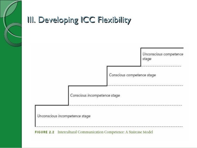Ibs354 Pp Chapter 2 Module 2