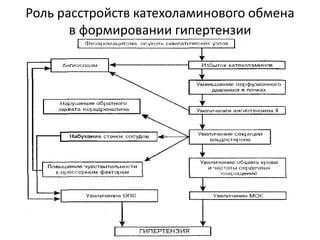 Роль расстройств катехоламинового обмена
       в формировании гипертензии
 