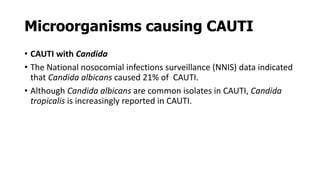 Microorganisms causing CAUTI
• CAUTI with Candida
• The National nosocomial infections surveillance (NNIS) data indicated
that Candida albicans caused 21% of CAUTI.
• Although Candida albicans are common isolates in CAUTI, Candida
tropicalis is increasingly reported in CAUTI.
 
