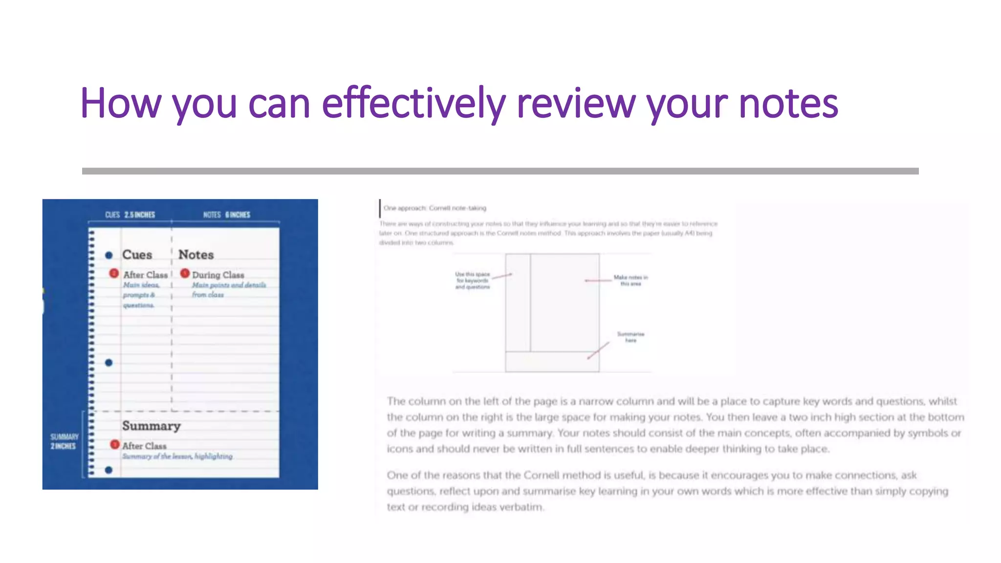 How you can effectively review your notes
 