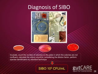 Diagnosis of SIBO
28
SIBO 105 CFU/mL
Incubate, count the number of colonies on the plate in which the colonies are not
confluent, calculate the colony count/mL considering the dilution factor, perform
species identification by standard technique
 