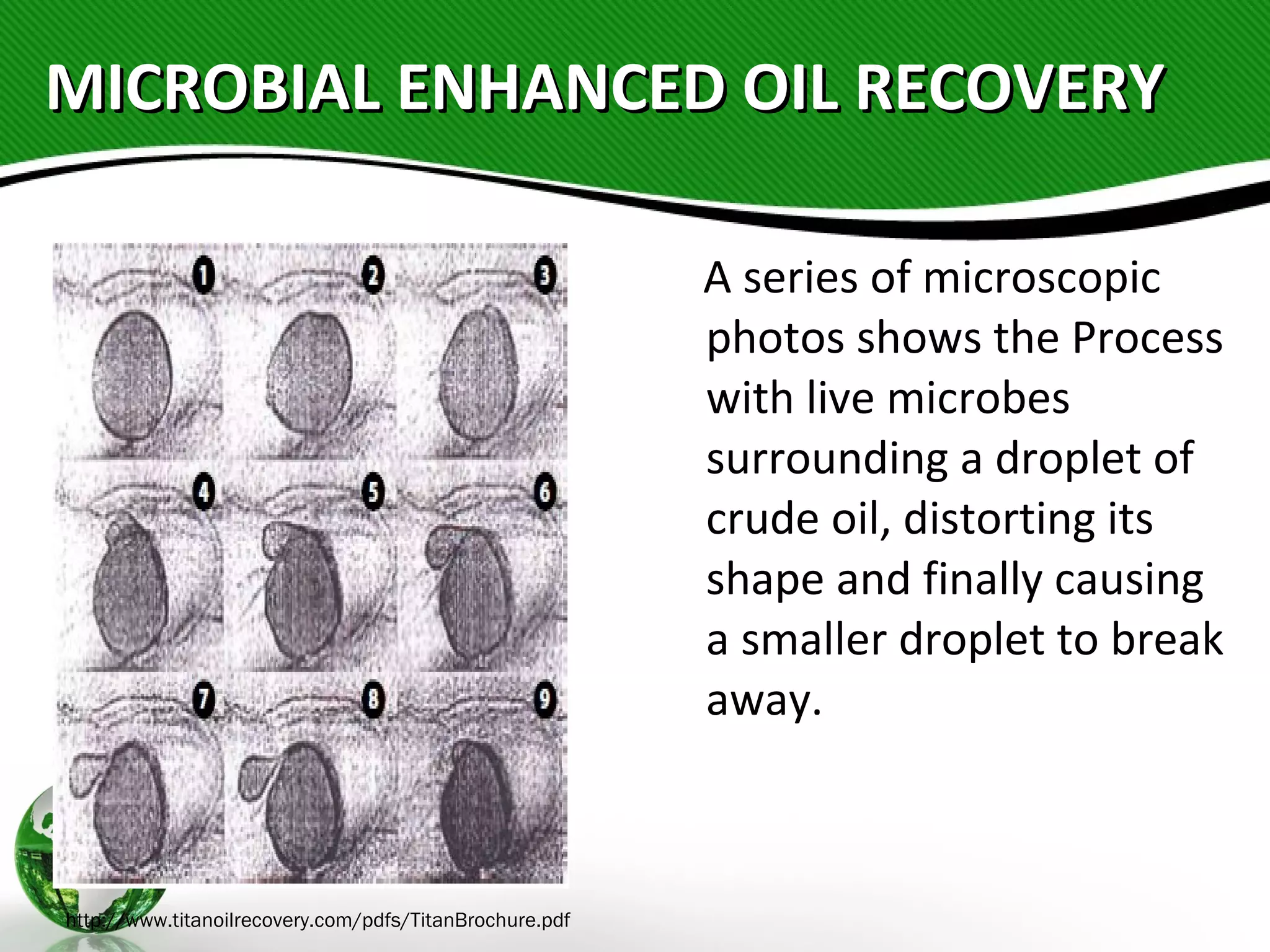 MICROBIAL ENHANCED OIL RECOVERYMICROBIAL ENHANCED OIL RECOVERY
A series of microscopic
photos shows the Process
with live microbes
surrounding a droplet of
crude oil, distorting its
shape and finally causing
a smaller droplet to break
away.
http://www.titanoilrecovery.com/pdfs/TitanBrochure.pdf
 