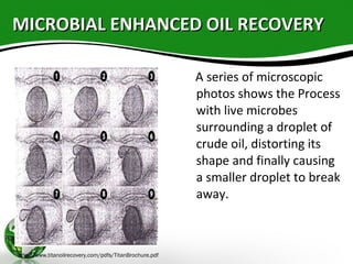 MICROBIAL ENHANCED OIL RECOVERYMICROBIAL ENHANCED OIL RECOVERY
A series of microscopic
photos shows the Process
with live microbes
surrounding a droplet of
crude oil, distorting its
shape and finally causing
a smaller droplet to break
away.
http://www.titanoilrecovery.com/pdfs/TitanBrochure.pdf
 