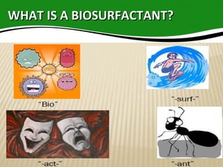 WHAT IS A BIOSURFACTANT?WHAT IS A BIOSURFACTANT?
 