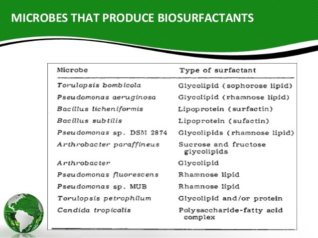 The Presence Of Microbes In Food Can Be The Presence Of Microbes In Food Can Be