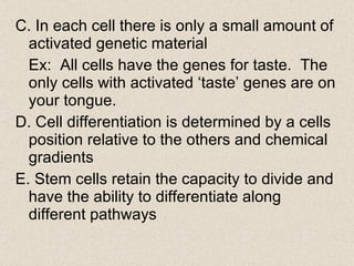 C. In each cell there is only a small amount of activated genetic material Ex:  All cells have the genes for taste.  The only cells with activated ‘taste’ genes are on your tongue. D. Cell differentiation is determined by a cells position relative to the others and chemical gradients E. Stem cells retain the capacity to divide and have the ability to differentiate along different pathways 