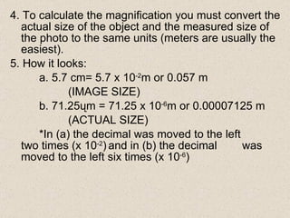 4. To calculate the magnification you must convert the actual size of the object and the measured size of the photo to the same units (meters are usually the easiest). 5. How it looks: a. 5.7 cm= 5.7 x 10 -2 m or 0.057 m  (IMAGE SIZE) b. 71.25ųm = 71.25 x 10 -6 m or 0.00007125 m (ACTUAL SIZE) *In (a) the decimal was moved to the left  two times (x  10 -2 )   and in (b) the decimal  was moved to the left six times  (x  10 -6 )   