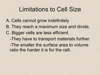 Limitations to Cell Size A. Cells cannot grow indefinitely B. They reach a maximum size and divide. C. Bigger cells are less efficient. -They have to transport materials further. -The smaller the surface area to volume ratio the harder it is for the cell. 