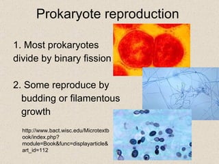Prokaryote reproduction 1. Most prokaryotes  divide by binary fission 2. Some reproduce by  budding or filamentous  growth http://www.bact.wisc.edu/Microtextbook/index.php?module=Book&func=displayarticle&art_id=112 