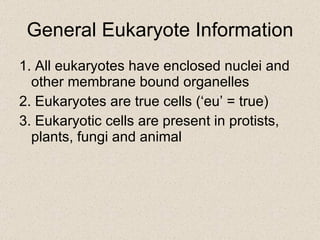 General Eukaryote Information 1. All eukaryotes have enclosed nuclei and other membrane bound organelles 2. Eukaryotes are true cells (‘eu’ = true) 3. Eukaryotic cells are present in protists, plants, fungi and animal 