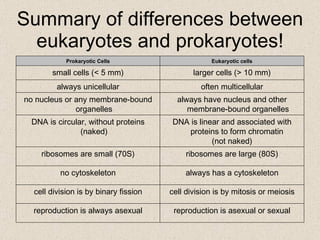 Summary of differences between eukaryotes and prokaryotes! Prokaryotic Cells Eukaryotic cells small cells (< 5 mm) larger cells (> 10 mm) always unicellular often multicellular no nucleus or any membrane-bound organelles always have nucleus and other membrane-bound organelles DNA is circular, without proteins (naked) DNA is linear and associated with proteins to form chromatin  (not naked) ribosomes are small (70S) ribosomes are large (80S) no cytoskeleton always has a cytoskeleton cell division is by binary fission cell division is by mitosis or meiosis reproduction is always asexual reproduction is asexual or sexual 