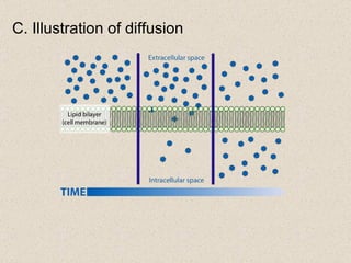 C. Illustration of diffusion 