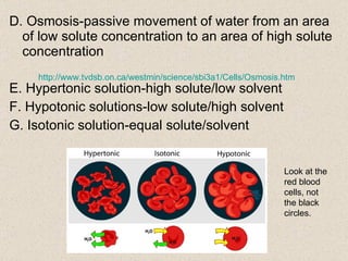 D. Osmosis-passive movement of water from an area of low solute concentration to an area of high solute concentration E. Hypertonic solution-high solute/low solvent F. Hypotonic solutions-low solute/high solvent G. Isotonic solution-equal solute/solvent http://www.tvdsb.on.ca/westmin/science/sbi3a1/Cells/Osmosis.htm Look at the red blood  cells, not the black circles. 