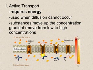 I. Active Transport - requires energy -used when diffusion cannot occur -substances move up the concentration gradient (move from low to high concentrations 
