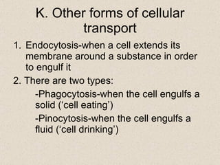 K. Other forms of cellular transport Endocytosis-when a cell extends its membrane around a substance in order to engulf it 2. There are two types: -Phagocytosis-when the cell engulfs a  solid (‘cell eating’) -Pinocytosis-when the cell engulfs a  fluid (‘cell drinking’) 
