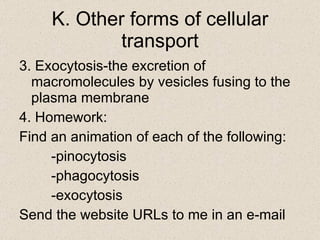3. Exocytosis-the excretion of macromolecules by vesicles fusing to the plasma membrane 4. Homework:  Find an animation of each of the following: -pinocytosis -phagocytosis -exocytosis Send the website URLs to me in an e-mail K. Other forms of cellular transport 
