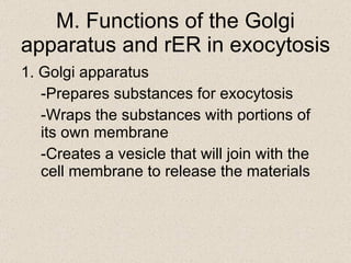 M. Functions of the Golgi apparatus and rER in exocytosis 1. Golgi apparatus -Prepares substances for exocytosis -Wraps the substances with portions of its own membrane -Creates a vesicle that will join with the cell membrane to release the materials 