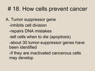 # 18. How cells prevent cancer A. Tumor suppressor gene -inhibits cell division -repairs DNA mistakes -tell cells when to die (apoptosis) -about 30 tumor-suppressor genes have been identified -if they are inactivated cancerous cells may develop 