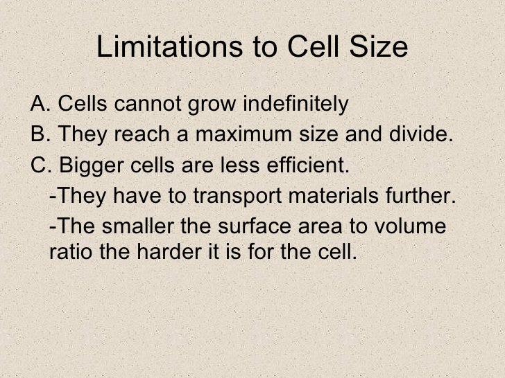 cells powerpoint why is there a limit on cell size