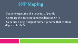 Single Nucleotide Polymorphism (SNP) | PPTX