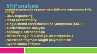 Single Nucleotide Polymorphism (SNP) | PPTX