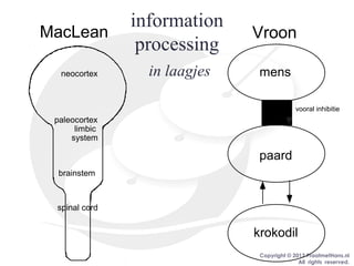 Copyright © 2013 PraatmetHans.nl
All rights reserved.
information
processing
in laagjes
brainstem
spinal cord
krokodil
paleocortex
limbic
system
paard
neocortex mens
MacLean Vroon
vooral inhibitie
 