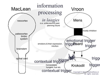 Copyright © 2013 PraatmetHans.nl
All rights reserved.
information
processing
in laagjes
brainstem
spinal cord
Krokodilhomeostasis
hungers, lust etc.
paleocortex
limbic
system
Paardemotions & their expression,
intuïtion
neocortex Mens
o.a. understanind past,
planning future
MacLean Vroon
mostly inhibition
contextual trigger
triggetrigger
trigger
contextual trigger
trigger
emotional trigger
trigger
 