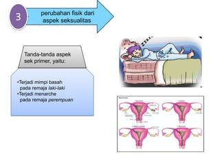 perubahan fisik dari
3          aspek seksualitas




    Tanda-tanda aspek
    sek primer, yaitu:


•Terjadi mimpi basah
 pada remaja laki-laki
•Terjadi menarche
 pada remaja perempuan
 
