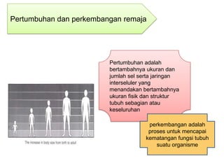 Pertumbuhan dan perkembangan remaja




                         Pertumbuhan adalah
                         bertambahnya ukuran dan
                         jumlah sel serta jaringan
                         interseluler yang
                         menandakan bertambahnya
                         ukuran fisik dan struktur
                         tubuh sebagian atau
                         keseluruhan

                                       perkembangan adalah
                                       proses untuk mencapai
                                      kematangan fungsi tubuh
                                          suatu organisme
 