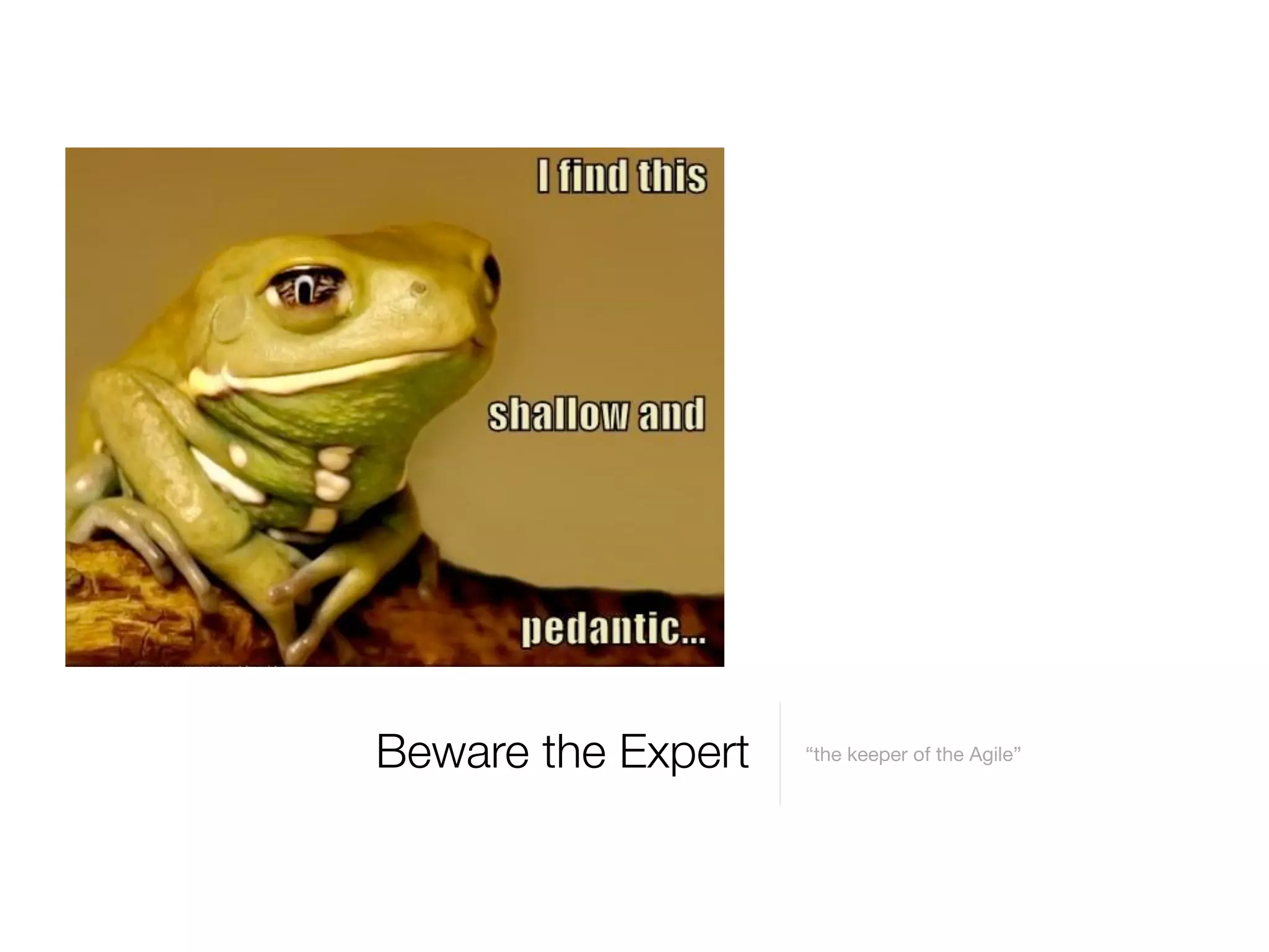 Beware the Expert “the keeper of the Agile”
 