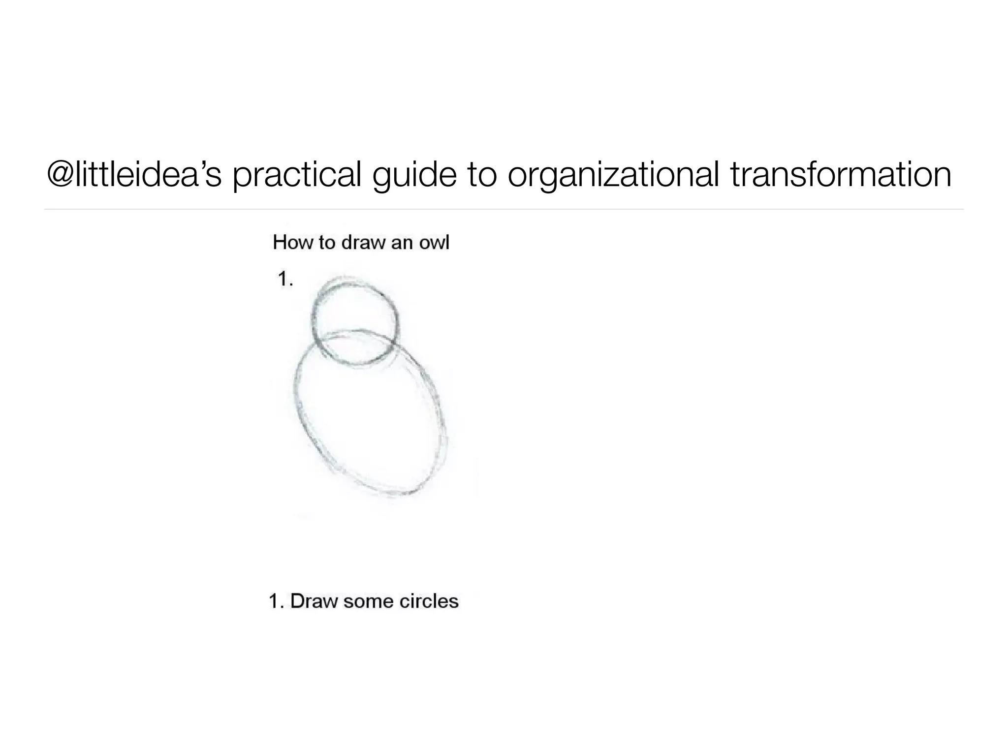 @littleidea’s practical guide to organizational transformation
 