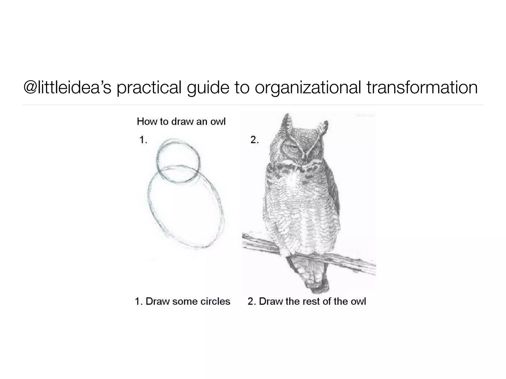 @littleidea’s practical guide to organizational transformation
 