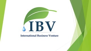 International Business Venture
 