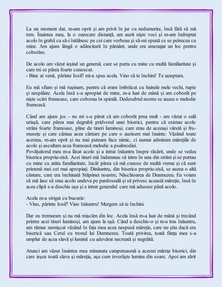 La un moment dat, m-am oprit şi am privit în jur cu nedumerire, însă fără să mă
tem. Înaintea mea, la o oarecare distanţă, am auzit nişte voci şi m-am îndreptat
acolo în grabă ca să-i întâlnesc pe cei care vorbeau şi să-mi spună ce se petrecea cu
mine. Am ajuns lângă o adâncitură în pământ, unde era amenajat un loc pentru
coborâre.
De acolo am văzut ieşind un general, care se purta cu mine cu multă familiaritate şi
care mi se părea foarte cunoscut.
- Bine ai venit, părinte Iosif! mi-a spus acela. Vino să te închini! Te aşteptam.
Eu mă sfiam şi mă ruşinam, pentru că eram îmbrăcat cu hainele mele vechi, rupte
şi nespălate. Acela însă s-a apropiat de mine, m-a luat de mână şi am coborât pe
nişte scări frumoase, care coborau în spirală. Dedesubtul nostru se auzea o melodie
frumoasă.
Când am ajuns jos - nu mi s-a părut că am coborât prea mult - am văzut o sală
uriaşă, care părea mai degrabă pridvorul unei biserici, pentru că existau acolo
străni foarte frumoase, pline de tineri luminoşi, care erau de aceeaşi vârstă şi fru-
museţe şi care cântau acea cântare pe care o auzisem mai înainte. Văzând toate
acestea, m-am oprit şi nu mai puteam face nimic, ci numai admiram măreţiile de
acolo şi ascultam acea frumoasă melodie a psalmodiei.
Povăţuitorul meu m-a lăsat acolo şi a intrat înăuntru înspre răsărit, unde se vedea
biserica propriu-zisă. Acei tineri mă îndemnau să intru în una din străni şi se purtau
cu mine cu atâta familiaritate, încât părea că mă cunosc de multă vreme şi că sunt
prietenii mei cei mai apropiaţi. Dinăuntru, din biserica propriu-zisă, se auzea o altă
cântare, care era închinată Stăpânei noastre, Născătoarea de Dumnezeu. Eu voiam
să mă lase să stau acolo undeva pe pardoseală şi să privesc această măreţie, însă în
acea clipă s-a deschis uşa şi a intrat generalul care mă adusese până acolo.
Acela m-a strigat cu bucurie:
- Vino, părinte Iosif! Vino înăuntru! Mergem să te închini.
Dar eu tremuram şi nu mă mişcăm din loc. Acela însă m-a luat de mână şi trecând
printre acei tineri luminoşi, am ajuns la uşă. Când a deschis-o şi m-a tras înăuntru,
am rămas nemişcat văzând în faţa mea acea nespusă măreţie, care nu ştiu dacă era
biserică sau Cerul cu tronul lui Dumnezeu. Toată privirea, toată fiinţa mea s-a
umplut de acea slavă şi lumină cu adevărat necreată şi negrăită.
Atunci am văzut înaintea mea minunata catapeteasmă a acestei măreţe biserici, din
care ieşea toată slava şi măreţia, aşa cum izvorăşte lumina din soare. Apoi am zărit
 