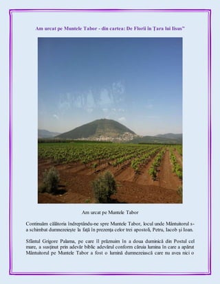 Am urcat pe Muntele Tabor - din cartea: De Florii în Ţara lui Iisus”
Am urcat pe Muntele Tabor
Continuăm călătoria îndreptându-ne spre Muntele Tabor, locul unde Mântuitorul s-
a schimbat dumnezeieşte la faţă în prezenţa celor trei apostoli, Petru, Iacob şi Ioan.
Sfântul Grigore Palama, pe care îl prăznuim în a doua duminică din Postul cel
mare, a susţinut prin adevăr biblic adevărul conform căruia lumina în care a apărut
Mântuitorul pe Muntele Tabor a fost o lumină dumnezeiască care nu avea nici o
 