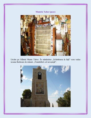 Muntele Tabor (poze)
Urcăm pe Sfântul Munte Tabor. În mănăstirea „Schimbarea la faţă” vom vedea
icoana făcătoare de minuni „Trandafirul cel neveştejit”.
 