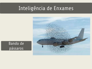 Inteligência de Enxames 
Bando de 
pássaros 
 