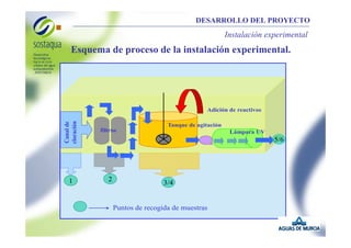 DESARROLLO DEL PROYECTO

Instalación experimental

Esquema de proceso de la instalación experimental.

Canal de
cloración

Adición de reactivos

1

Tanque de agitación
filtros

Lámpara UV

5/6

2

3/4

Puntos de recogida de muestras

 
