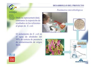 DESARROLLO DEL PROYECTO

Parámetros microbiológicos

Dada su representatividad,
centramos la exposición de
resultados en los referentes
al grupo de E. coli.

El aislamiento de E. coli en
el agua da alrededor del
99% de certeza de presencia
de contaminación de origen
fecal.

 