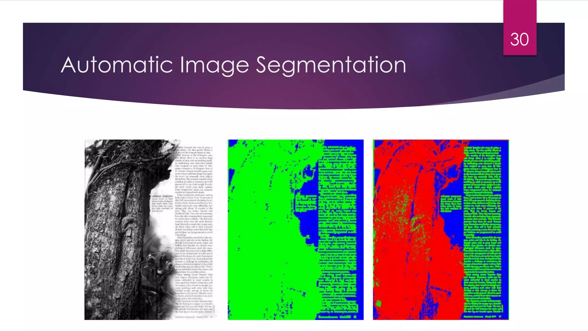 Automatic Image Segmentation
30
 