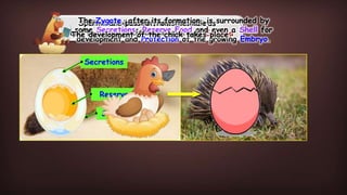 ICA_9B Reproduction_In_Animals.pptx