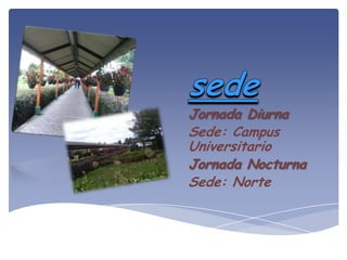 Jornada Diurna
Sede: Campus
Universitario
Jornada Nocturna
Sede: Norte