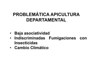 ICA_apicultura_19-05-2023.pptx