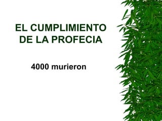 EL CUMPLIMIENTO DE LA PROFECIA 4000 murieron 