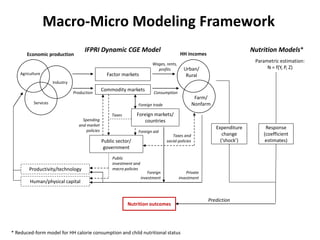 Macro-Micro Modeling Framework
Factor markets
Commodity markets
Foreign markets/
countries
Public sector/
government
Human/physical capital
Productivity/technology
Urban/
Rural
Farm/
Nonfarm
Agriculture
Industry
Services
Economic production HH incomes
Production Consumption
Wages, rents,
profits
Foreign trade
Foreign aid
Taxes
Spending
and market
policies
Foreign
investment
Taxes and
social policies
Public
investment and
macro policies
Private
investment
IFPRI Dynamic CGE Model Nutrition Models*
Parametric estimation:
N = f(Y, P, Z)
Response
(coefficient
estimates)
Prediction
Expenditure
change
(‘shock’)
Nutrition outcomes
* Reduced-form model for HH calorie consumption and child nutritional status
 