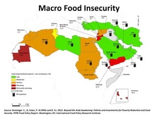 Macro Food Insecurity
Source: Breisinger C., O. Ecker, P. Al-Riffai and B. Yu. 2012. Beyond the Arab Awakening: Policies and Investments for Poverty Reduction and Food
Security. IFPRI Food Policy Report. Washington, DC: International Food Policy Research Institute.
 