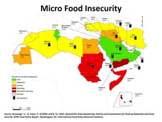 Micro Food Insecurity
Source: Breisinger C., O. Ecker, P. Al-Riffai and B. Yu. 2012. Beyond the Arab Awakening: Policies and Investments for Poverty Reduction and Food
Security. IFPRI Food Policy Report. Washington, DC: International Food Policy Research Institute.
 